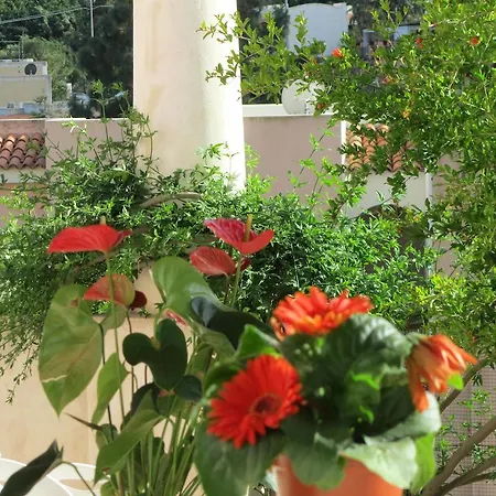 Appartamento Fiori Di Arancio